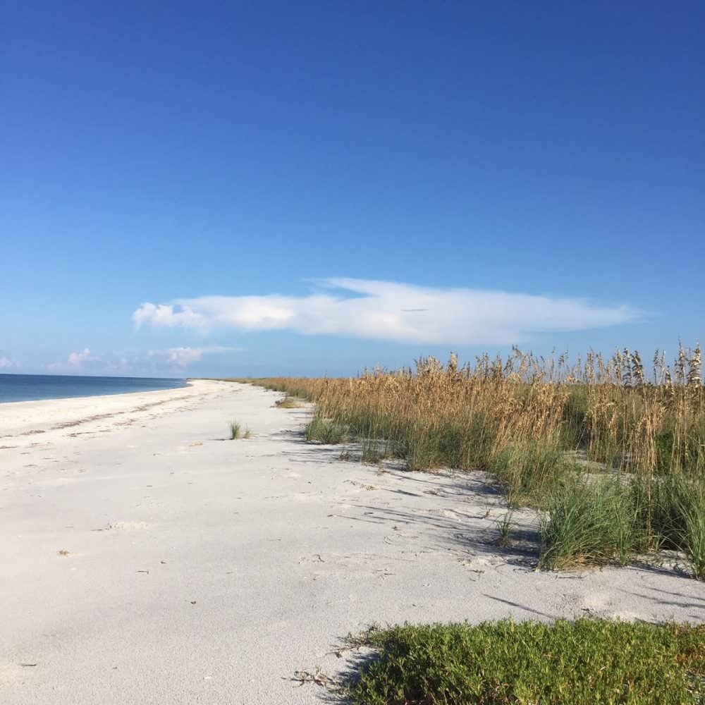 Fall Day At Cayo Costa State Park 